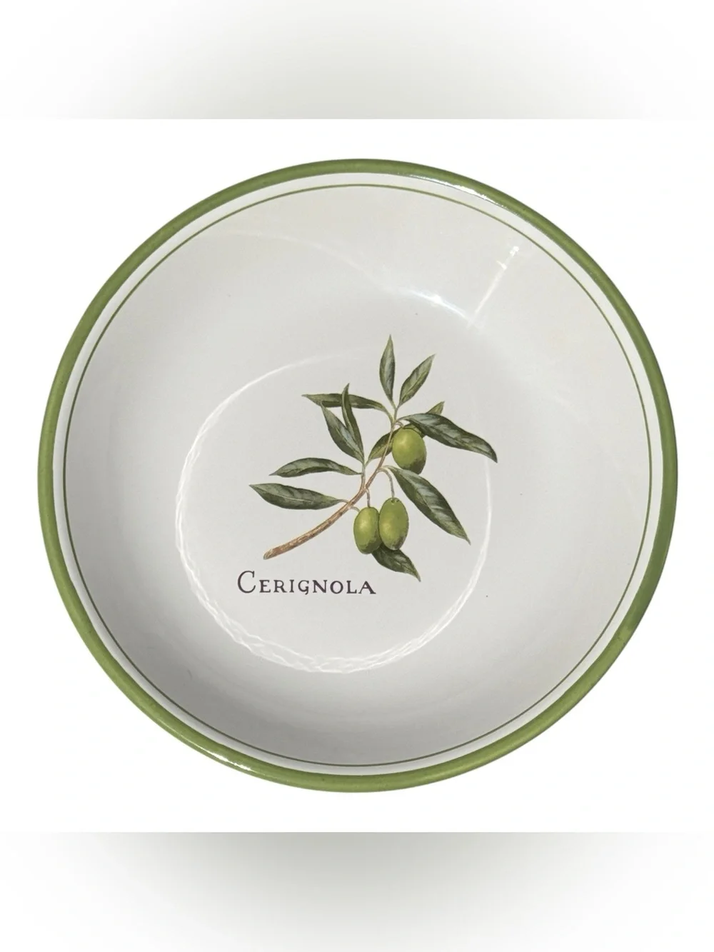 Williams Sonoma Olive Grove Cerignola Pasta Bowl Portugal Green Olive Dish 9.5”